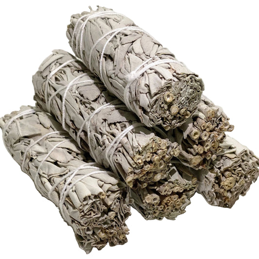 Bâton de sauge blanche 10,2 cm - Sauge blanche de Californie